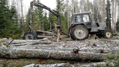 Lifting-and-Putting-Cut-Logs-into-Tractor-Trailer-in-Forest,-Snowy-Winter-Day