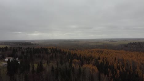 aerial-fly-over-cottage-country-forest-colors-amber-orange-green-grey-gray-trees-on-fall-afternoon-with-fog-settling-in-and-flury-snow-coming-down-light-at-a-45-degree-angle-in-rochester1-2