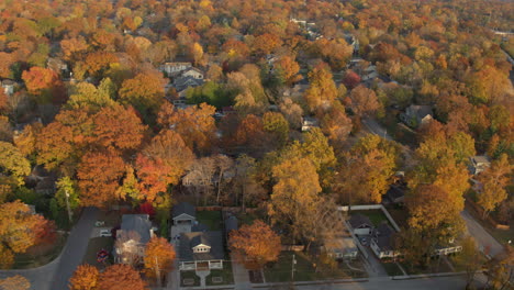 Aerial-of-beautiful-neighborhood-in-Kirkwood-in-St
