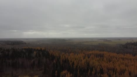 aerial-fly-over-cottage-country-forest-colors-amber-orange-green-grey-gray-trees-on-fall-afternoon-with-fog-settling-in-and-flury-snow-coming-down-light-at-a-45-degree-angle-in-rochester2-2