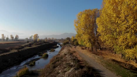 Country-road-alongside-river-and-yellow-poplars-at-beautiful-early-morning-sunshine