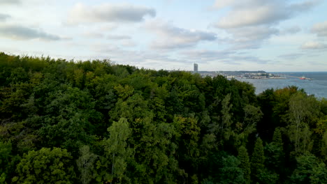 Amazing-Drone-Aerial-Flying-Over-Tree-Tops-Revealing-Redlowska,-Gdynia-Poland