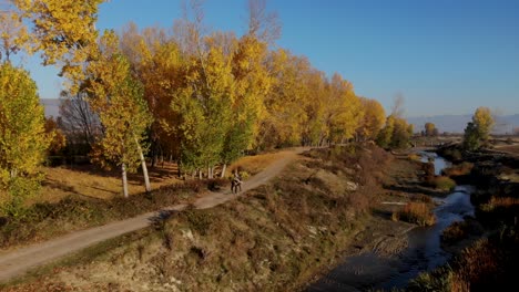 Mann-Auf-Einem-Pferd-Auf-Der-Landstraße,-Umgeben-Von-Gelben-Pappeln-Und-Kanal-Am-Herbstmorgen