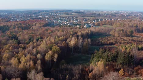 Gelber-Wald-Im-Herbst-Mit-Stadt-Im-Hintergrund-Antenne-4k