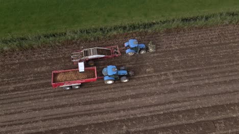 Birdseye-view-of-tractors-harvesting-potato-crop-in-field-aerial