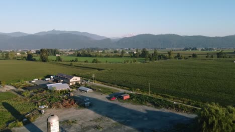 1-4-Aerial-fly-over-mountain-valley-farms-on-a-sunny-summer-day-with-lush-green-rows-of-crop-vineyards-fruit-at-a-cultivated-countryside-with-a-natural-scenic-ripe-harvest-of-the-plentiful