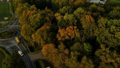 Scenic-Road-In-Autumn-Along-The-Beautiful-Forest-Landscape-In-Lubawa,-Poland---Aerial-Drone-Shot