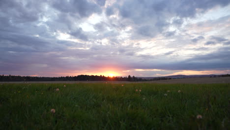 Left-to-right-pan-in-a-field-at-sunset