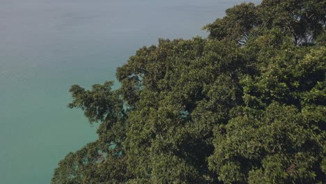 Aerial-top-view-tropical-ocean-jungle-granite-coastline-turquoise-water