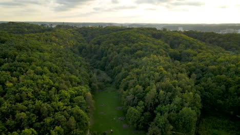 Lush-Dense-Forest-Landscape-In-Polanka-Redlowska,-Gdynia,-Poland---Aerial-Drone-Shot
