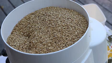Whole-wheat-kernels-are-ground-with-a-small-electrical-flour-mill