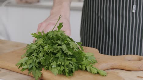 Chef-smacking-parsley-on-cutting-board
shot-at-100fps-2