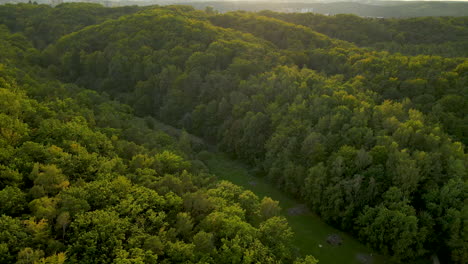 Beautiful-Forest-In-Spring-With-Lush-Green-Vegetation-In-Polanka-Redlowska,-Gdynia,-Poland---Aerial-Drone-Shot