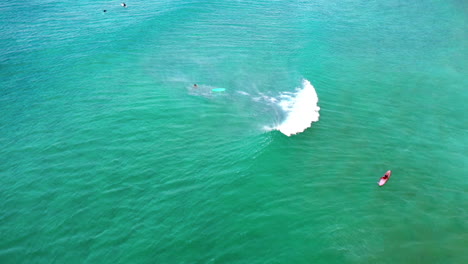 Drone-De-Surfista-Montando-Una-Ola-En-La-Playa-De-Wategos-Byron-Bay-Australia