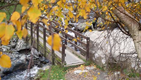 Fresh-splashing-river-wooden-footbridge-through-golden-autumn-tree-leaves-dolly-right