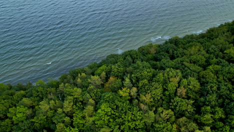 Aerial-view-showing-coastline-of-Baltic-Sea-with-forest-and-trees-during-sunny-day