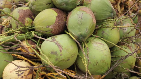 Kokosnüsse-Werden-Auf-Einem-Markt-In-Bogota,-Kolumbien,-Verkauft