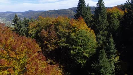 Drone-flying-over-colorful-autumn-trees-and-revealing-beautiful-mountains