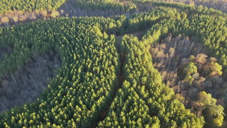 4K-drone-shot-of-logging-area-in-Tennessee-countryside