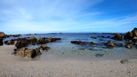 Arboleda-Pacífica-En-La-Bahía-De-Monterey,-California