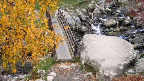 Fresh-splashing-river-wooden-footbridge-through-golden-autumn-tree-leaves-dolly-left