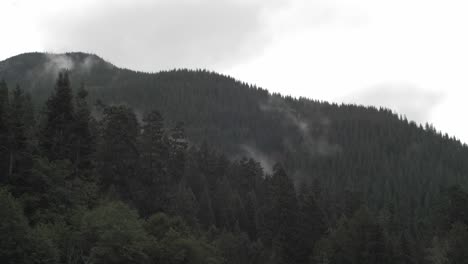 Moody-fog-rolls-in-over-a-pacific-northwest-mountain-ridge