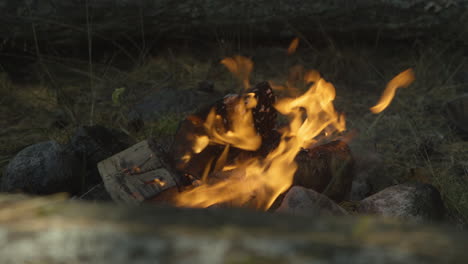 Outdoor-campfire-in-the-forest---super-slow-motion-during-the-day