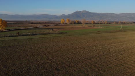Bepflanzte-Landwirtschaftsbetriebe-Bei-Morgensonne-Auf-Dem-Gebiet-Von-Korca,-Albanien