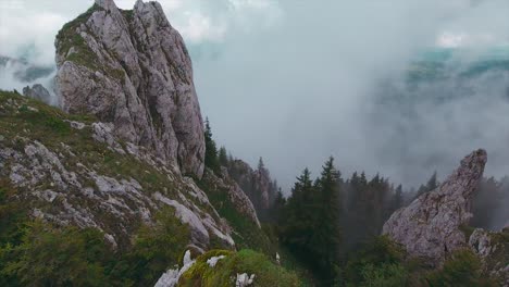 Tilt-up-camera-movement-showing-a-mountain-valley-from-a-cliff-high-up-with-pine-forest-with-mist-and-clouds-in-the-background