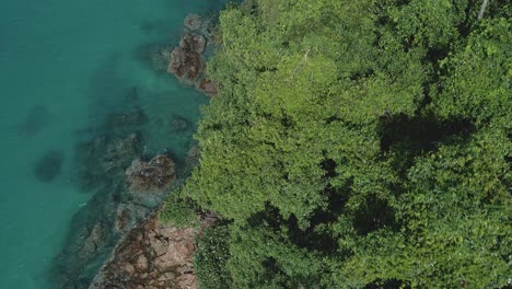Aerial-top-view-tropical-ocean-jungle-rock-coastline-turquoise-water