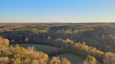 4K-flyaway-revealing-logging-area-in-Tennessee-countryside