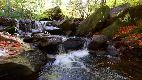 Peaceful-forest-stream-in-autumn-with-small-waterfall-and-ripples-in-pool-at-base-of-cascades