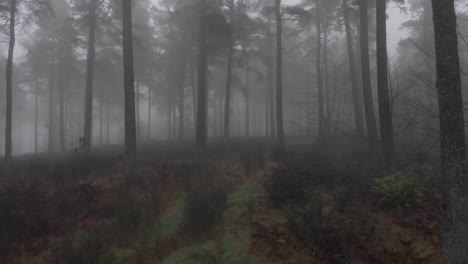 Luftaufnahmen-Eines-Dunklen,-Nebligen-Waldes-In-Den-Schottischen-Highlands