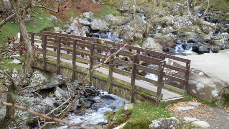 Hölzerne-Wasserfallbrücke-Kahle-Herbstäste-über-Felsigem-Fluss-Torrent-Dolly-Links