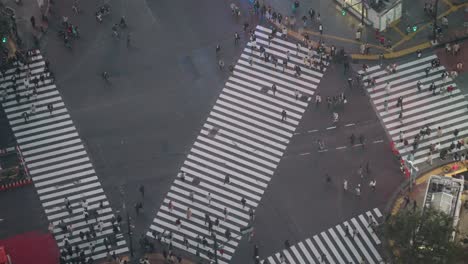 High-Angle-Top-Down-Long-Tele-Shot-of-Pedestrians-at-the-Famous-Shibuya-Crossing-at-Night-in-Shibuya-During-the-Pandemic,-Real-Tim