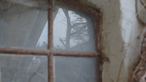 Baumreflexion-Im-Alten-Rostigen-Fensterhäuschen-4k