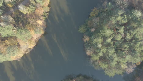Top-down-aerial-of-river-surrounded-by-forest-in-autumn