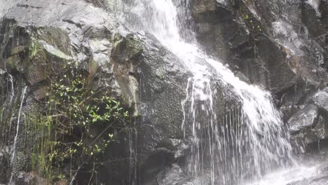 Uyala-Wasserfall-Im-Wald.