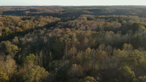 Aerial-fast-winding-shot-of-trees-on-a-Tennessee-countryside
