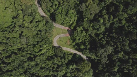 Aerial-view-descending-on-winding-green-jungle-road