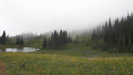 Fog-rolling-in-over-a-high-alpine-lake-near-Mount-Rainer-while-wildflowers-blow-in-the-wind,-60fps