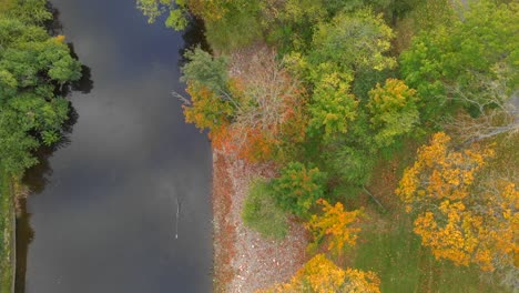 Aerial-of-small-river-with-beautiful-autumn-foliage-trees-on-its-bank