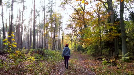Young-Woman-Walking-Through-Colorful-Forest-during-Sunny-Autumn-Day