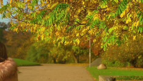 Girl-Leisurely-Walking-In-The-Park-Under-The-Tree-With-Colorful-Leaves-In-Autumn