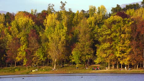 Park-colorful-trees-on-side-of-lake,-people-leisure-shore-with-grass-at-golden-hour
