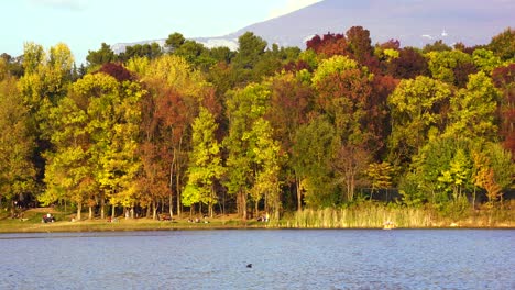 Herbstsaison-Mit-Gelbbraunen-Bäumen-Im-Stadtpark,-Wo-Sich-Die-Menschen-Am-Ufer-Des-Sees-Entspannen