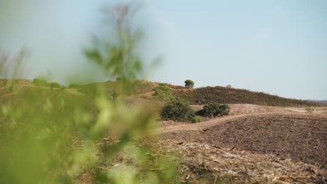 Peeking-between-the-vegetation-to-the-Scrubland,-dry,-barren-terrain-of-Algarve,-Portugal