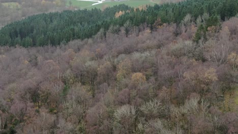 Aerial-View-of-Deciduous-and-Conifer-Forest-in-Countryside-of-Norway,-Rogaland