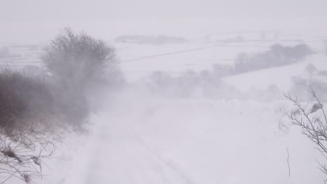 A-narrow-country-road-during-a-severe-snow-blizzard