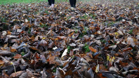 Two-girls-walk-through-the-autumn-fall-leaves